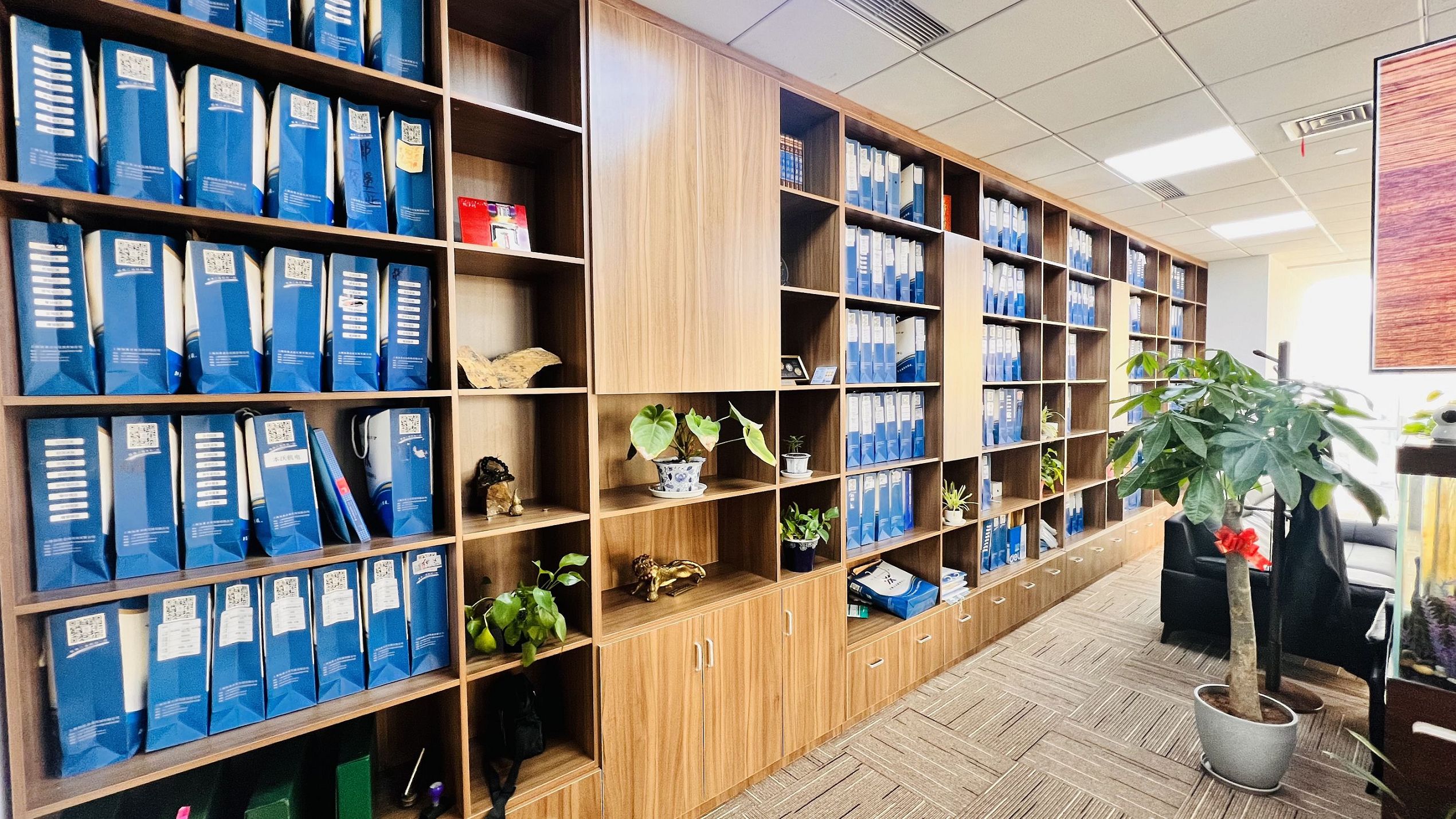 答疑专栏崇明公司注册与企业服务高频问题实时解答